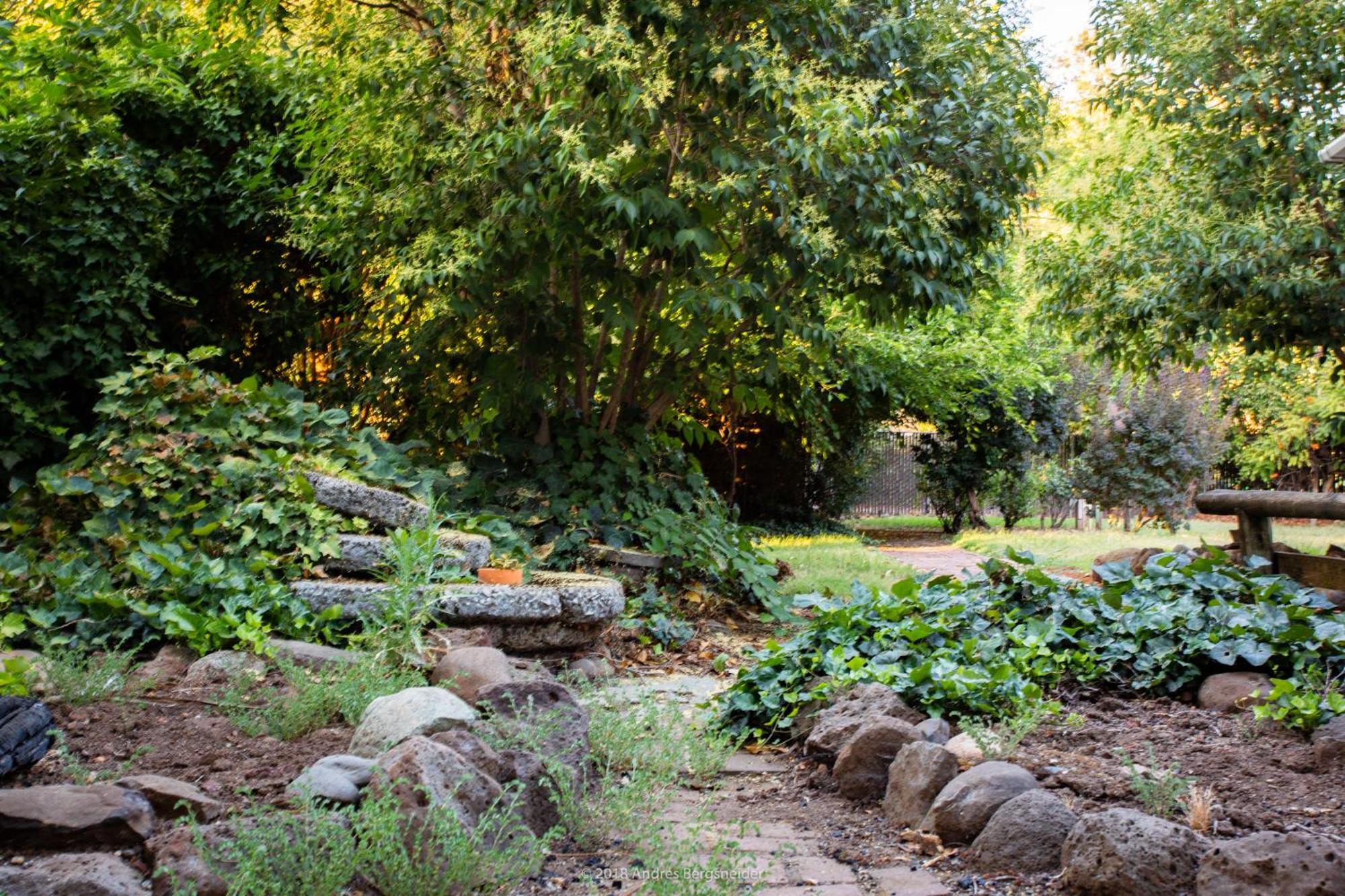 Вилла Downtown Dream Casa Near Chico State, Private Yard Экстерьер фото
